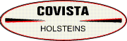 Covista Holsteins